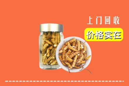 收购资讯:汨罗市回收散虫草