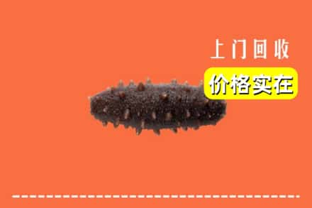收购资讯:汨罗市回收海参